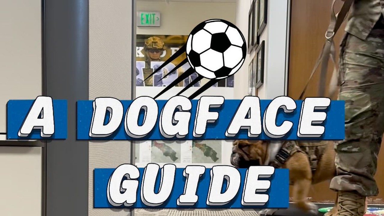 Rocky learns the rules to soccer