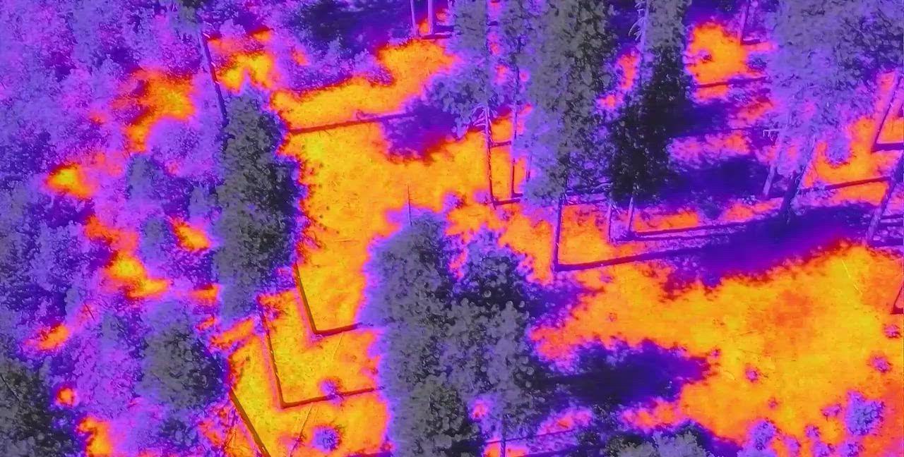 Thermal Drone Video of Stanislaus National Forest