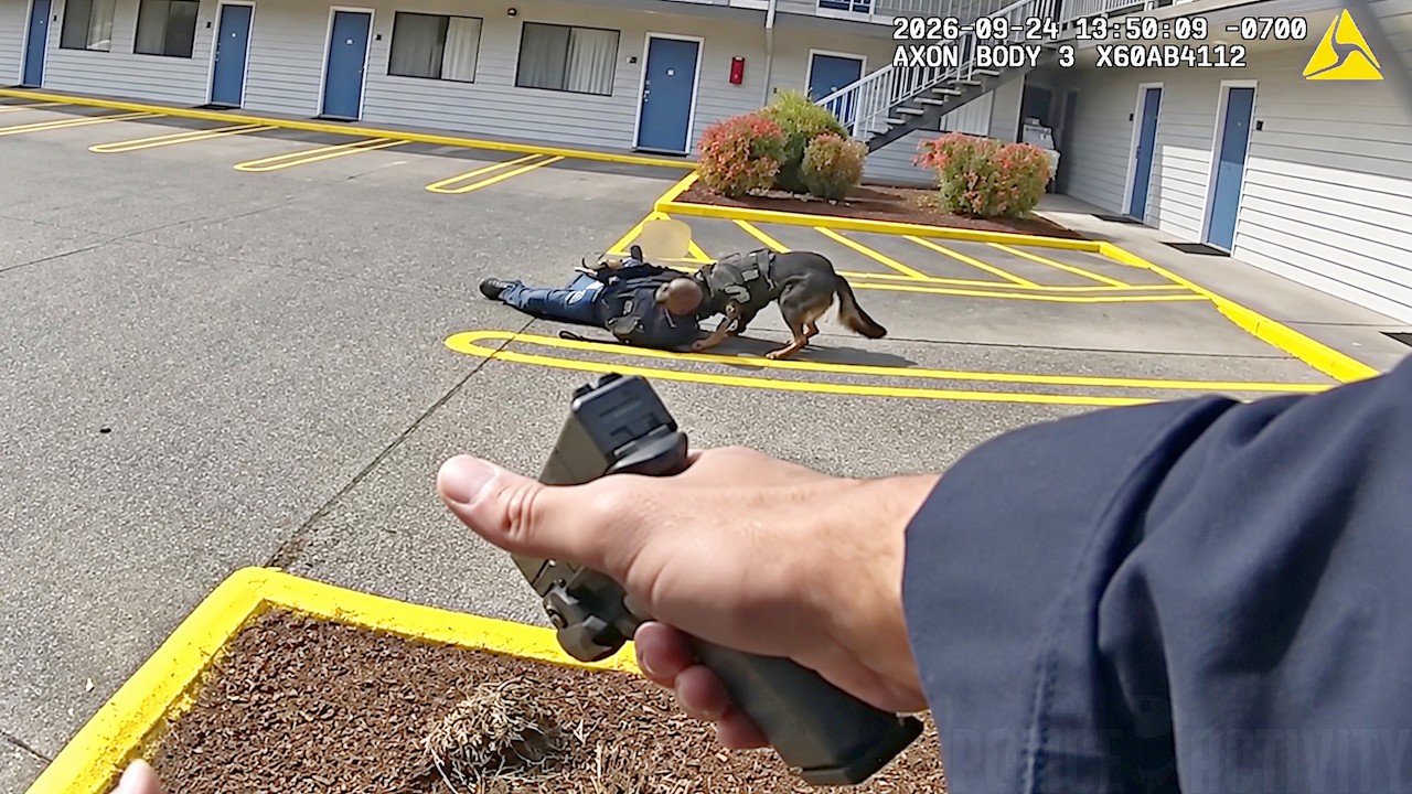 K9 Kylo Stops Homicide Suspect Before Officers Open Fire